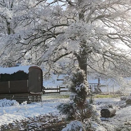 Ma Roulotte Sous Les Chenes- Au Naturel *